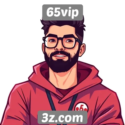 Perfil dos jogadores cadastrados no 65vip