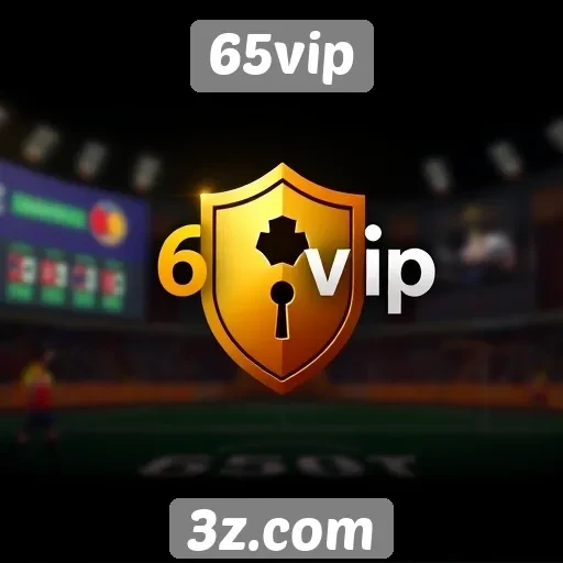 Segurança e privacidade no site 65vip